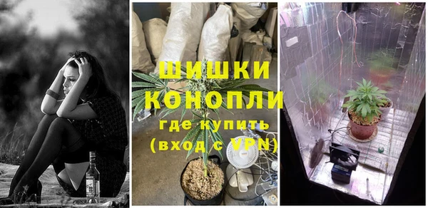 твердый Заводоуковск