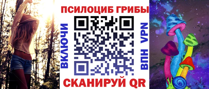 дарнет шоп  Мариинский Посад  Галлюциногенные грибы мухоморы 